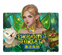 enchanted forest joker